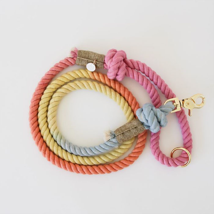 Dog Belt