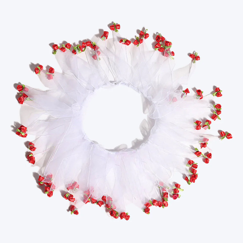 Celebration Party Dog Collar - White