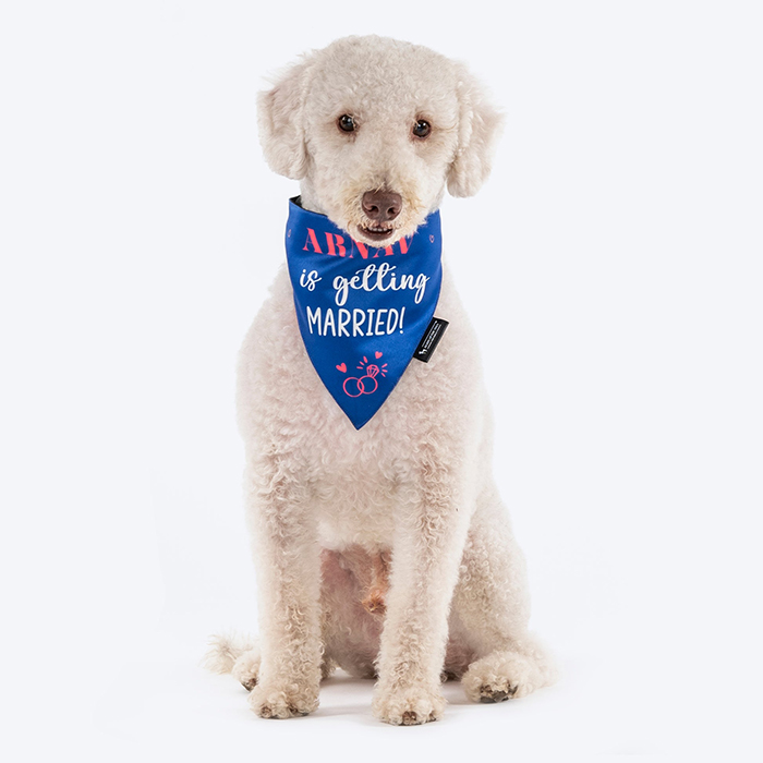 Personalised (Name) Is Getting Married Proposal Dog Bandana