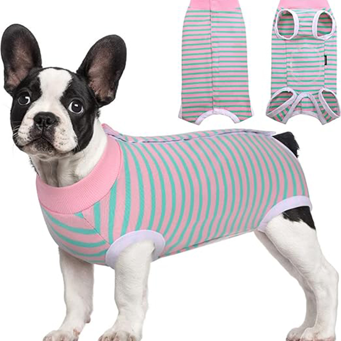 Dog Surgical Suit for Abdominal Wounds