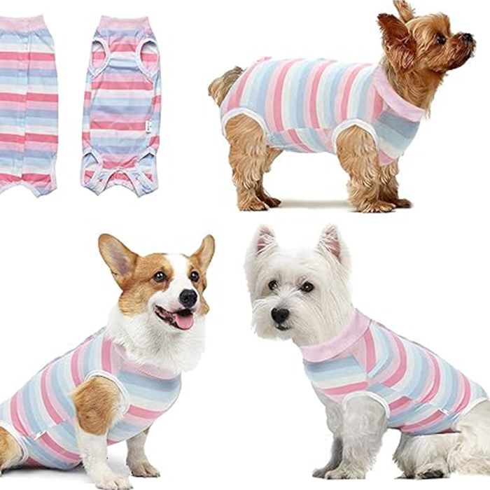 Dog Surgical Recovery Suit for Abdominal Wounds