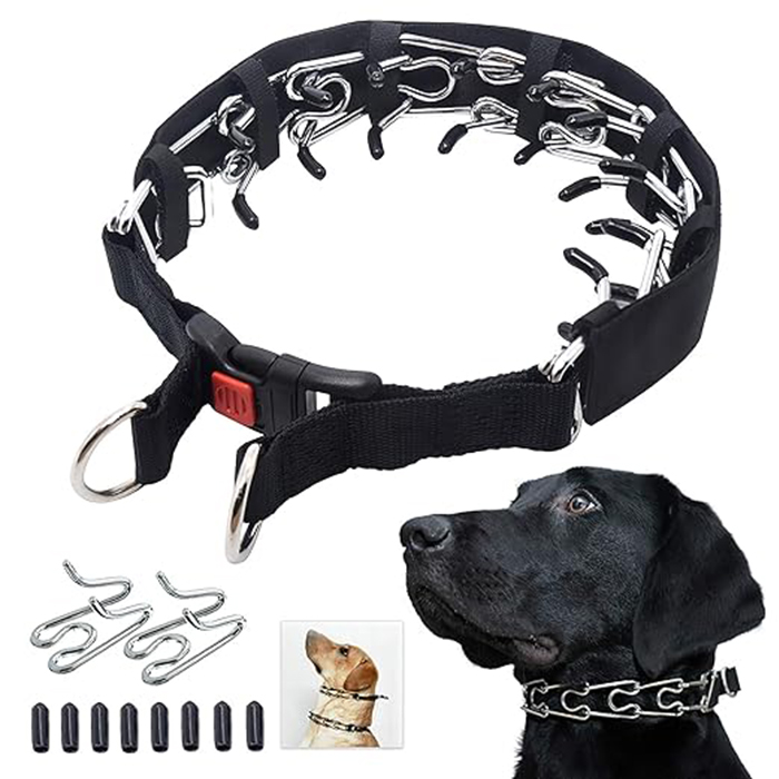 ayerzon Dog Prong Training Collar with Snap Buckle