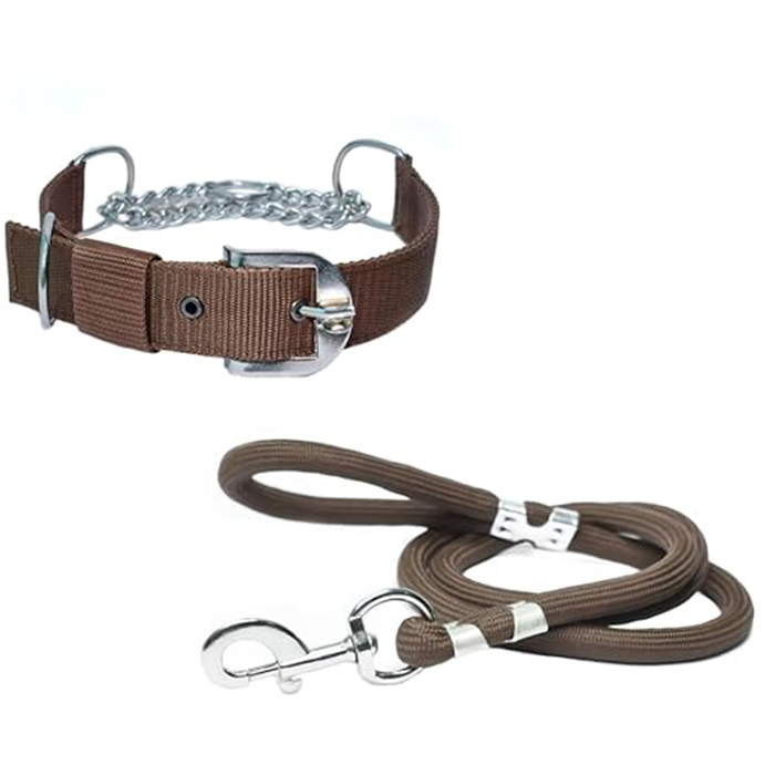 Younique Merchandise Dog Stainless Steel Choke Collar