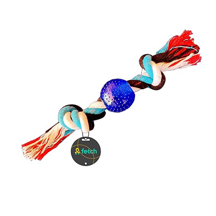 Fetch Blue Ball Toys for Dogs