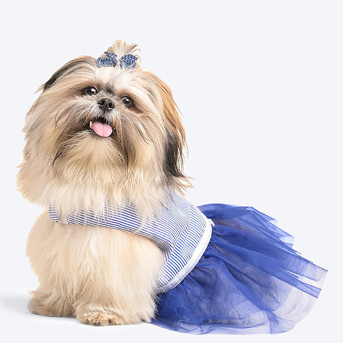 Personalised Striped Dog Dress - Blue - Only For Small Breeds