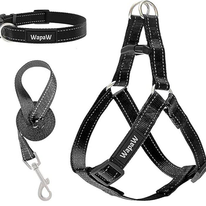 Dog Harness Collar Leash Set