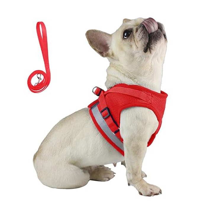 Dog Vest Harness with Leash