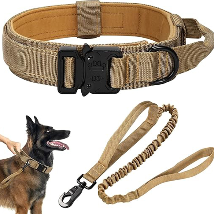 Bungee Leash for Large Medium Dogs