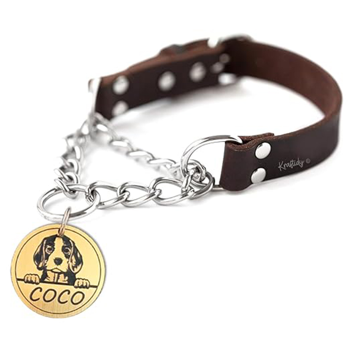 Kraftidy Dog Collar Leather Martingale Chain Collar