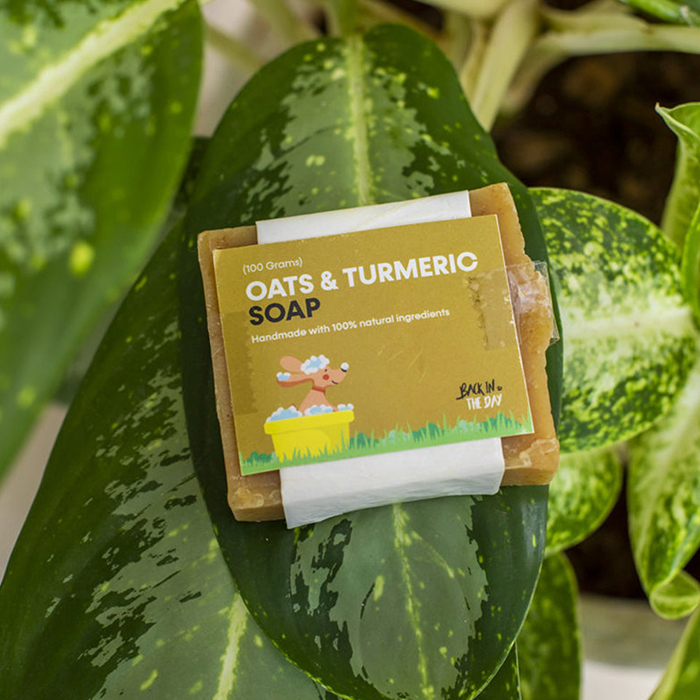 Back In the Day Oats Turmeric Soap For Dog