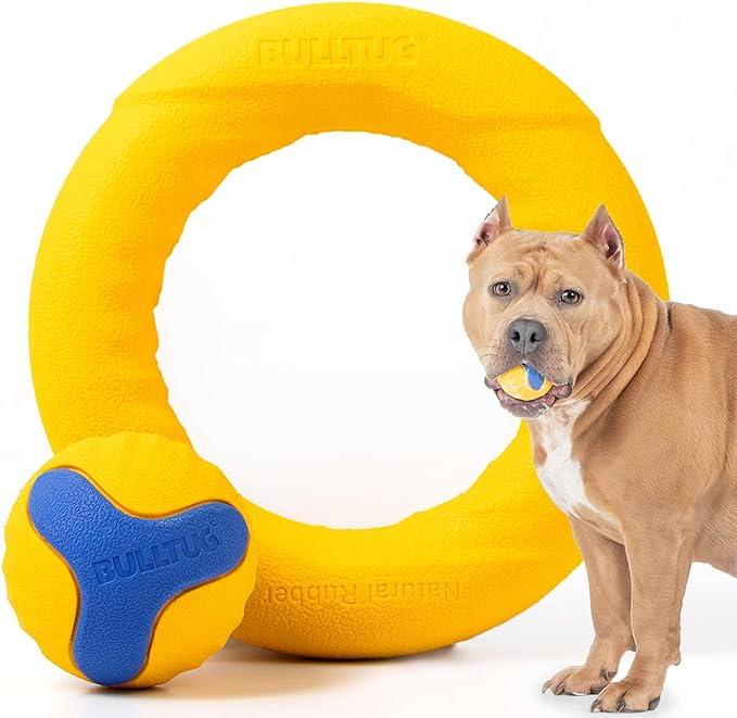 Chew Ring & Fetch Ball Combo for Aggressive Chewers