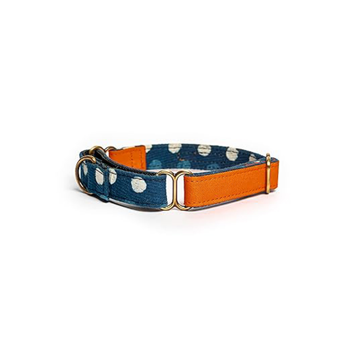PetWale Orange with Blue Dog Martingale Collar